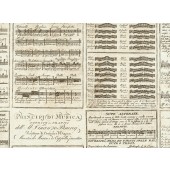 Carta Decorata 70x100 Principi di musica